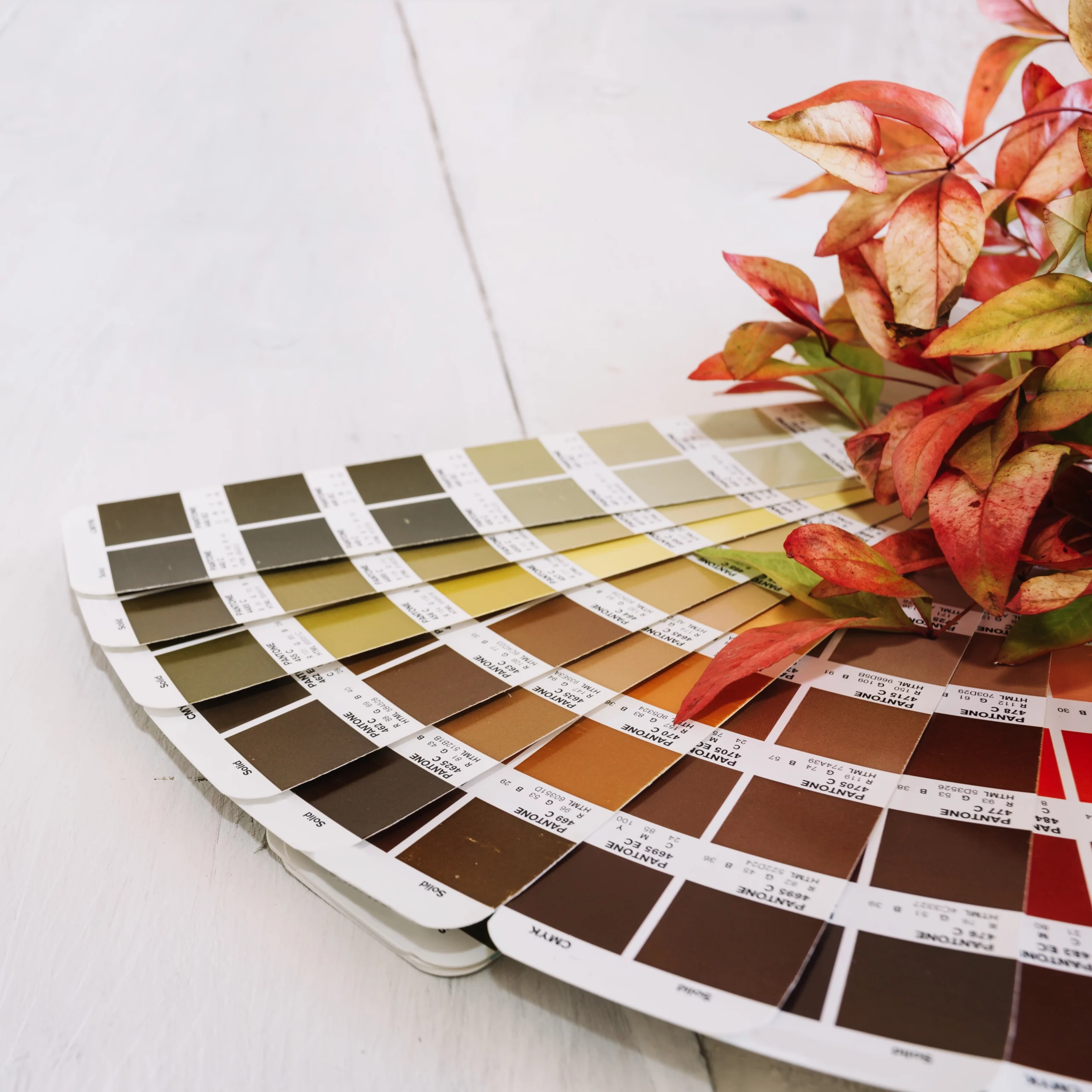 Couleur personnalisée