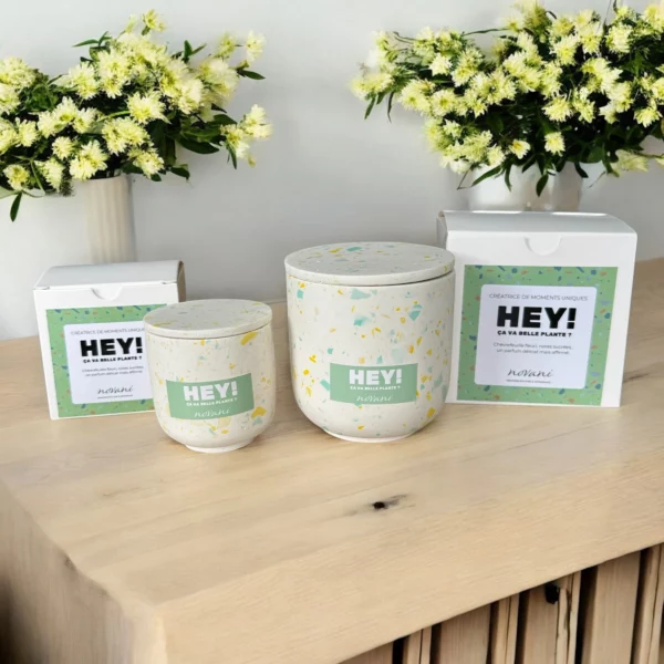 BOUGIE « HEY ! Ca va belle plante ? » – Image 2