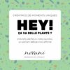 HEY (chèvrefeuille)