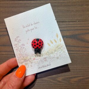 PIN’S COCCINELLE – Un éclat de chance